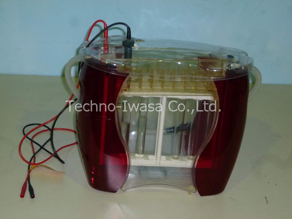 2�����d�C�j�����u